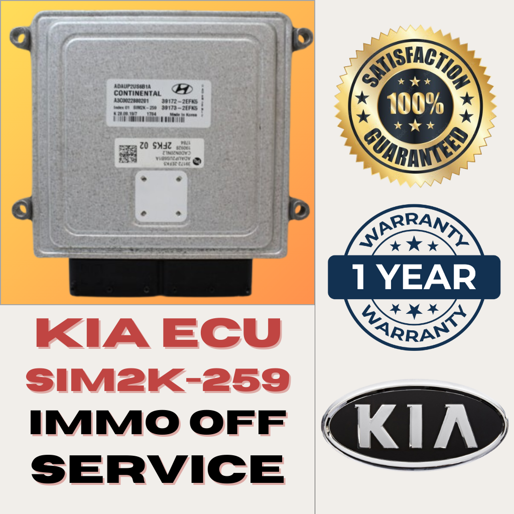 KIA Hyundai ECU Immo Off Service SIM2K-259 Immobilizer Delete ECM
