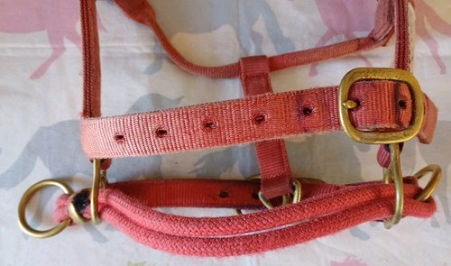 Monty Roberts Dually headcollar. Small, Red. In Great Condition. - Bild 13 von 14