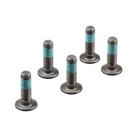 TRW Bremsscheibenschrauben M8X1,25X32,6 (FüR: BMW F 800 GT ABS K71 13-19 Vorne )