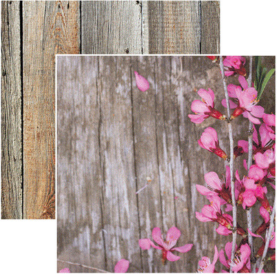 Hello Spring - Spring Flowers, DS scrapbook paper - Reminisce HS001