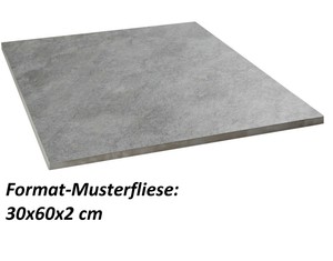 Musterfliese Sierra Terrassenplatten Schiefer Hellgrau 60x60x2 Terrassenfliese Ebay