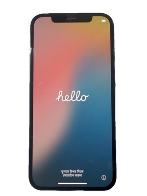 Apple iPhone 12 Pro A2341 Unlocked 128GB Pacific Blue A- Heavy Burn As-Is