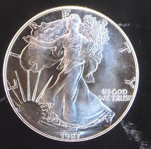 1987 American Eagle Toned Walking Liberty Bullion Vtg-0.999 Silver 1 Oz Coin 1w