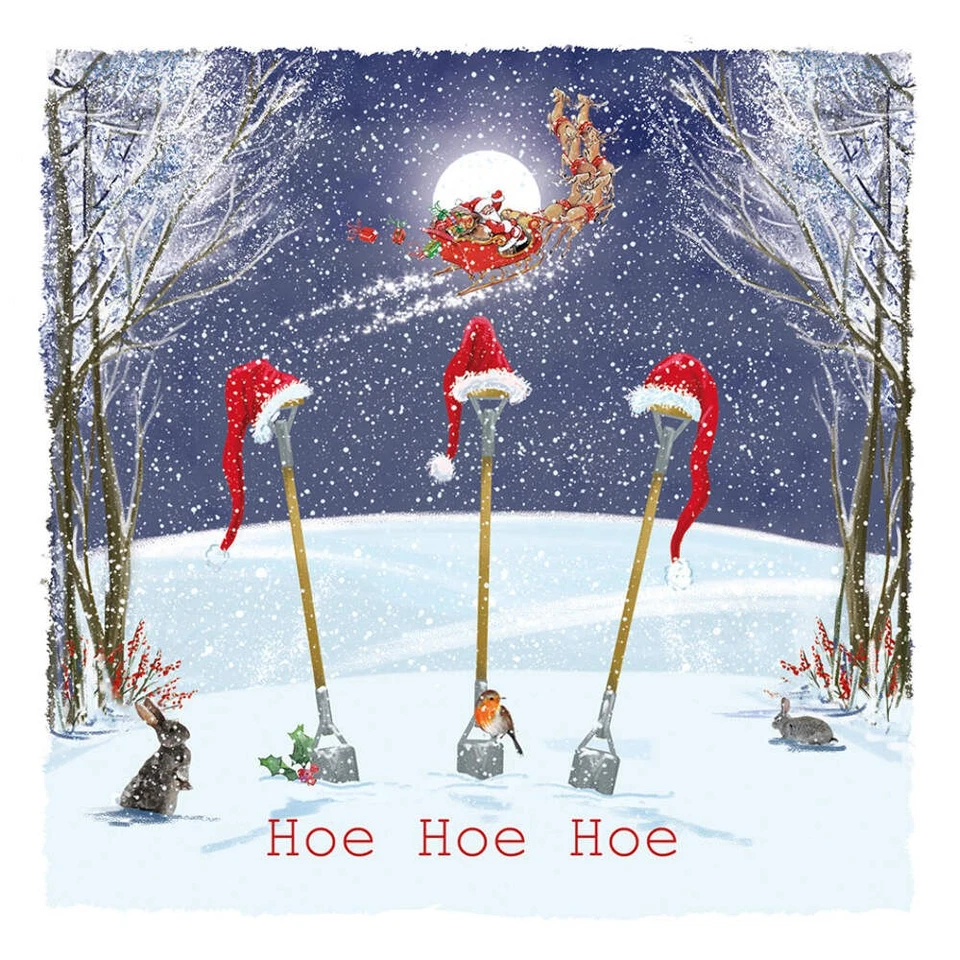 ST ANN'S HOSPICE ONLINE SHOP 'Hoe Hoe Hoe' Pack of 10 Charity Christmas Greetings Cards