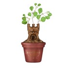Table Top Vase Shaped - Harry Potter (Mandrake) - Harry Potter Table Top Vase -