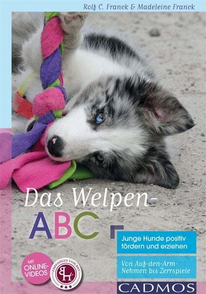 Thumbnail - Das Welpen-abc Junge Hunde Positiv Fördern Und Erziehen