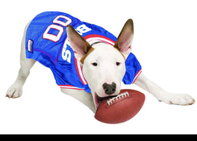 NFL Buffalo Bills Pet *Officially Licensed* Brand NEW
