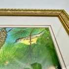 Foto 4 di 10
