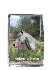 Holsteiner Horse - Crystal With A Horse Image, Image In Glass, Modern Display