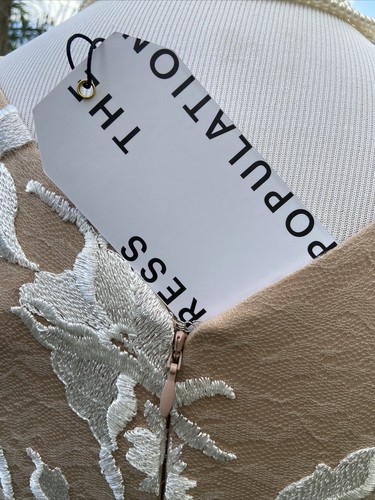 Dress The Population Sidney Dress Floral Appliqué Sheer Lace Nude/White SZ S NWT - Picture 11 of 19