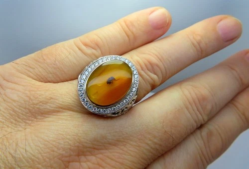 925 Sterling Silver Big Mens Ring with Fossil Beetle inclusion in Burmese Amber