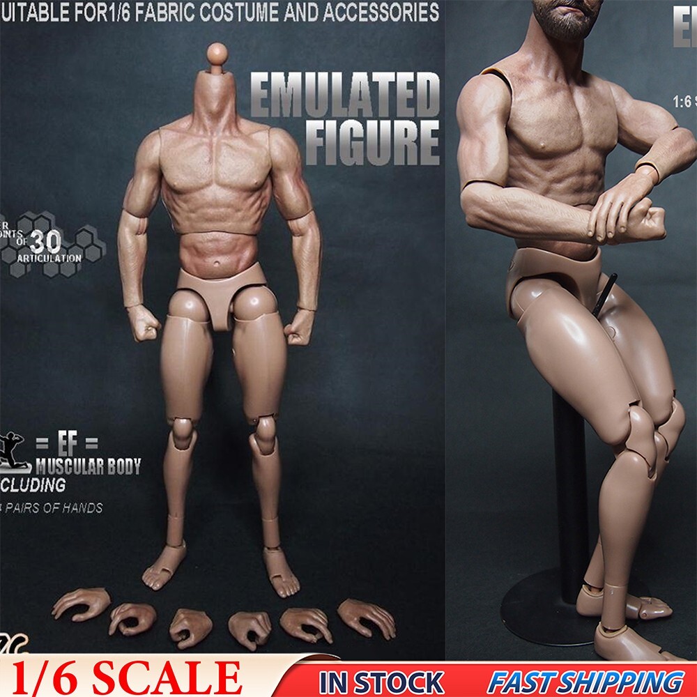 ZC Toys 1/6th Muscular Flexibl Male Figure Man Body Fit 12