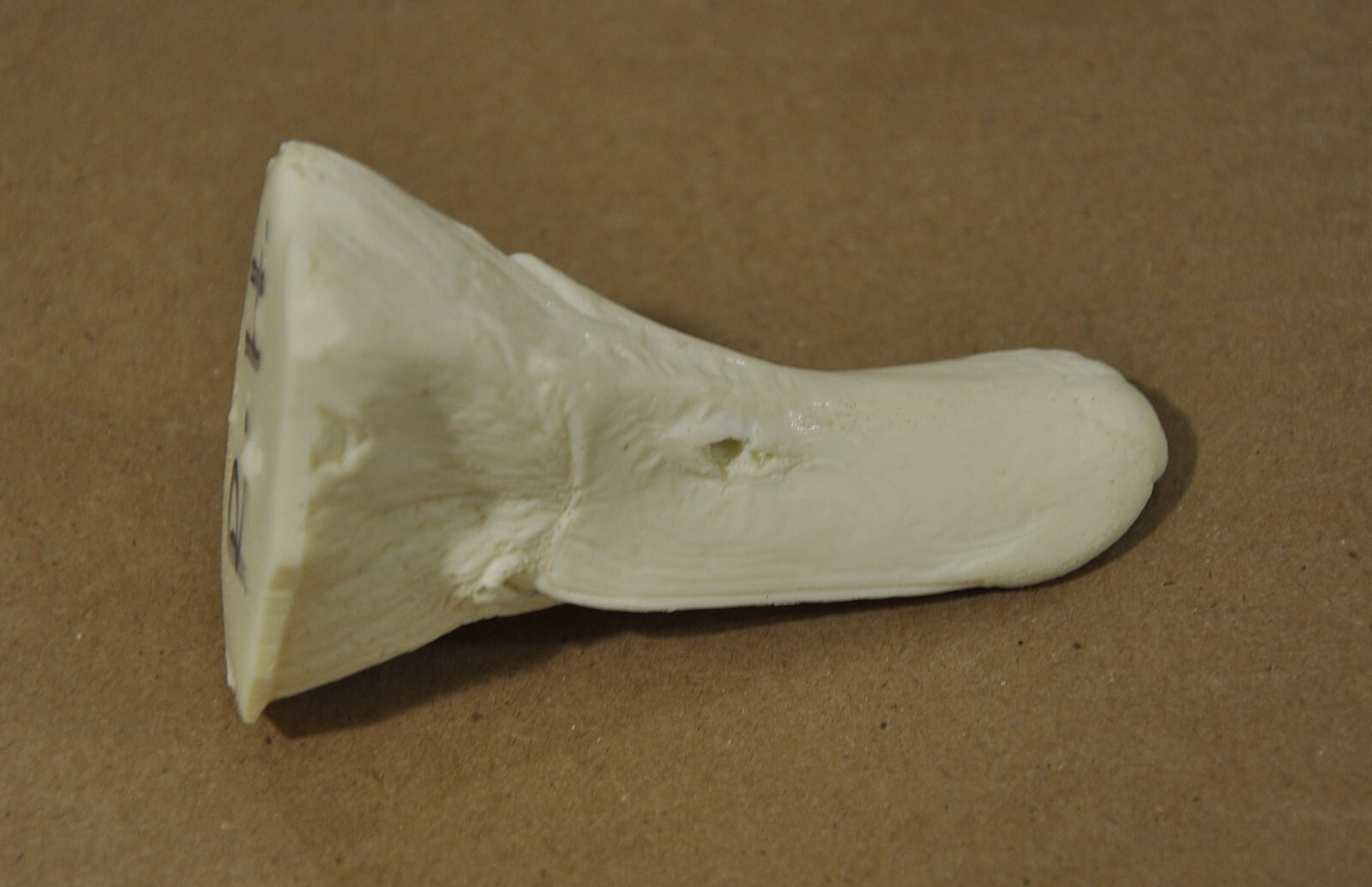 RED HEAD drake duck decoy decoys study bill eBay