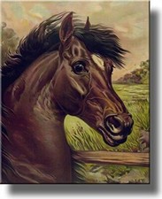 Vintage Painting of Black Horse Picture on Stretched Canvas, Wall Art Decor Read