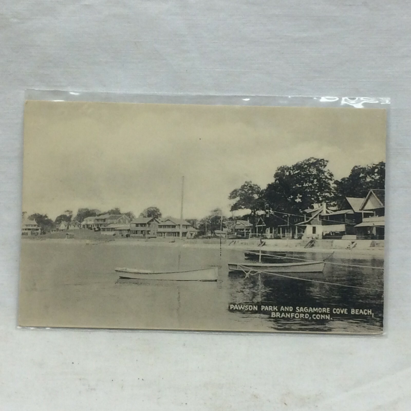 Picture 8 of 8