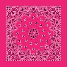 Carolina Creative Bandanna (Hot Pink) Paisley 35" x 35" Hav-A-Hank X-Large