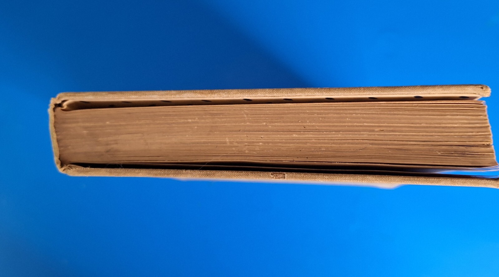 Picture 10 of 15