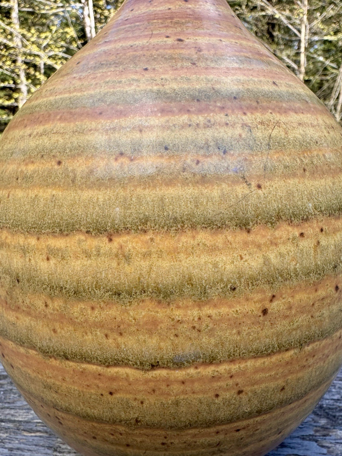 Picture 6 of 13