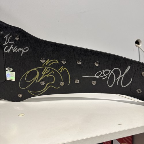 WWE Tag Team Replica Belt Signed Hart Foundation, Demolition, DX - Foto 10 di 23