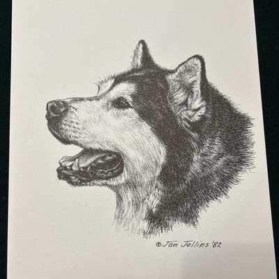 Alaskan Malamute  Vintage Print By Jan Jellins 8 X10