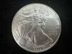 2014 American Silver Eagle Brilliant Uncirculated .999 Fine Silver Encapsulated