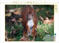 Calvendo Puzzle Possierliches EichhöRnchen | 2000 Teile Lege-GrößE 90X67Cm Foto-