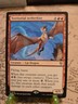 MTG Territorial Aetherkite Commander: Aetherdrift Regular Rare NM