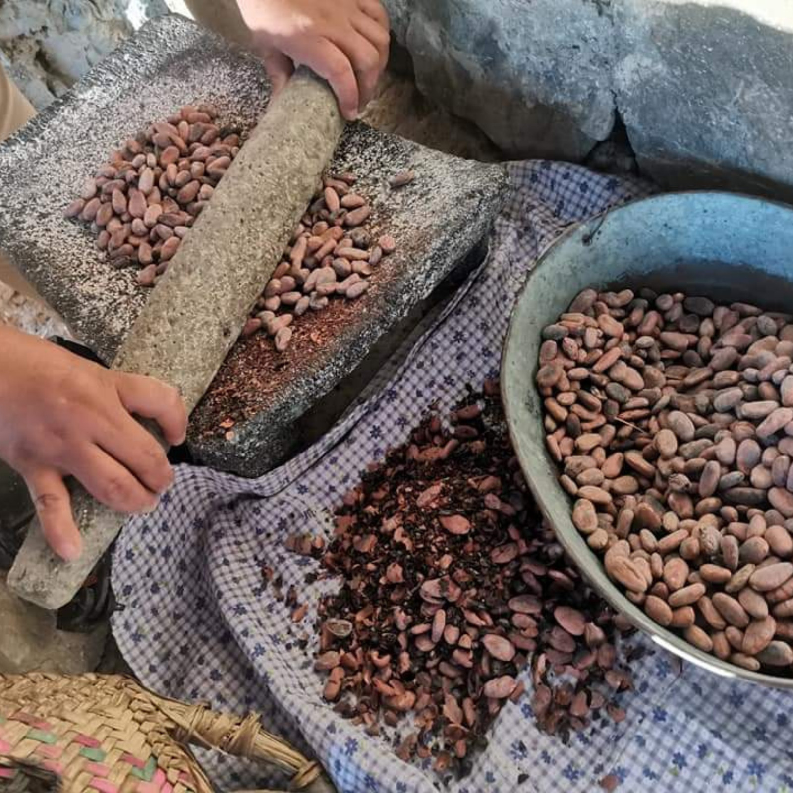 Cacao Nibs 100 Mexican Grown and Processed SriNivesh Advisors
