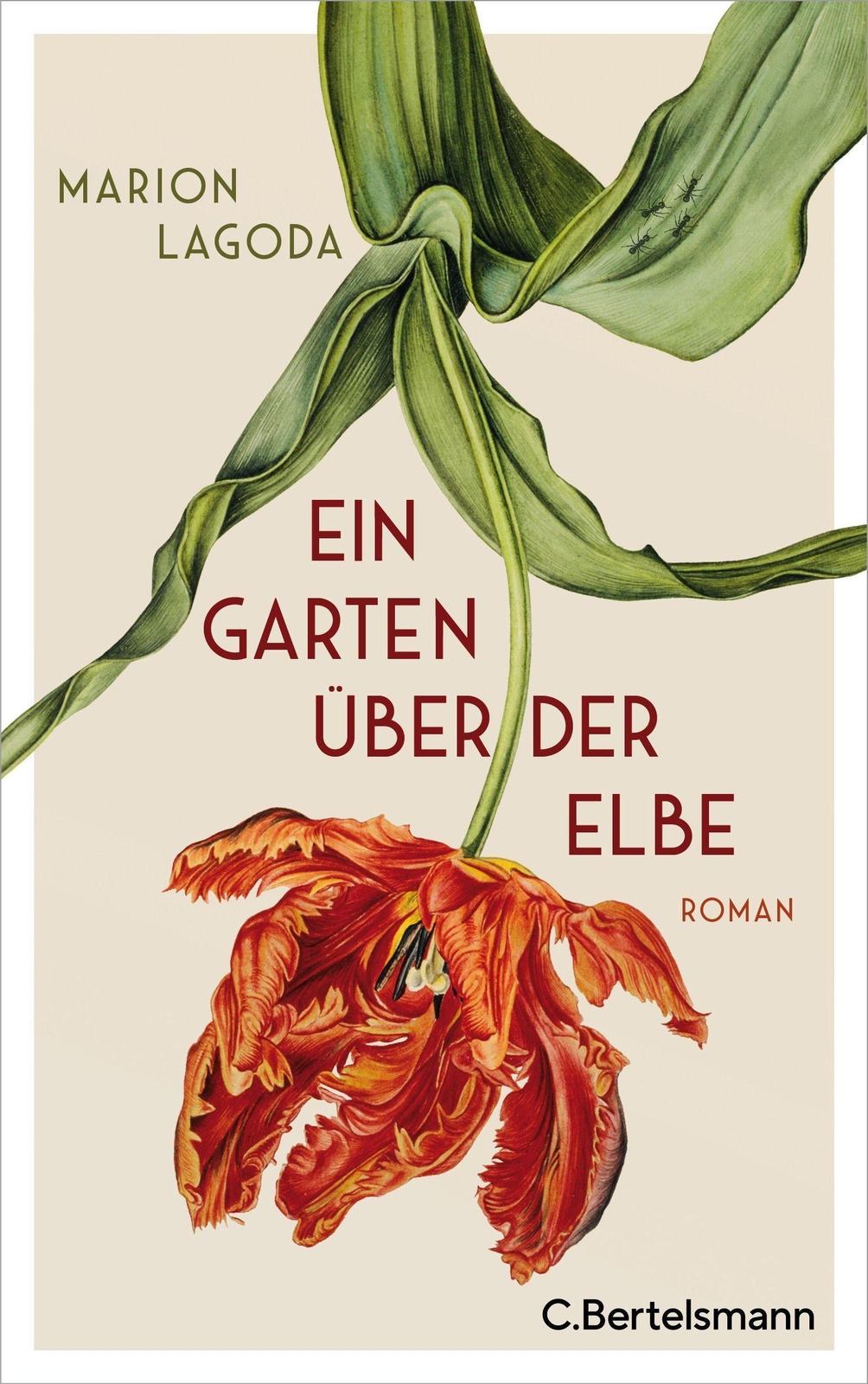 Thumbnail - Marion Lagoda / Ein Garten Über Der Elbe9783570104019
