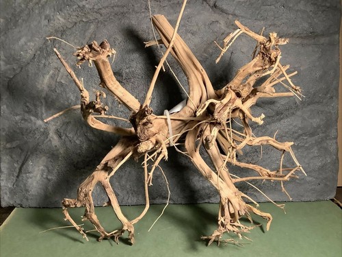aquatic driftwood