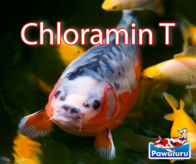 Chloramin -T beseitigt Bakterien Viren Pilze Giardien Desinfektion Hygiene 