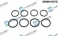 Dr.Motor Automotive Dichtring Kerzenschacht FüR BMW 3Er Compact 316 TI 318