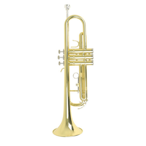 Bb Standard Trumpet Set Brass Tube Musical Instrument Professional Playing - Picture 1 of 11
