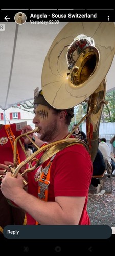 SOUSAPHONE 16" BELL SIZE OF PURE BRASS META IN GOLD POLISH +HARD CASE +FREE SHIP - 第 13/19 張圖片