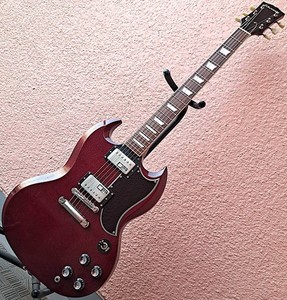 エドワーズSG　ED1328570 Edwards Sg | eBay