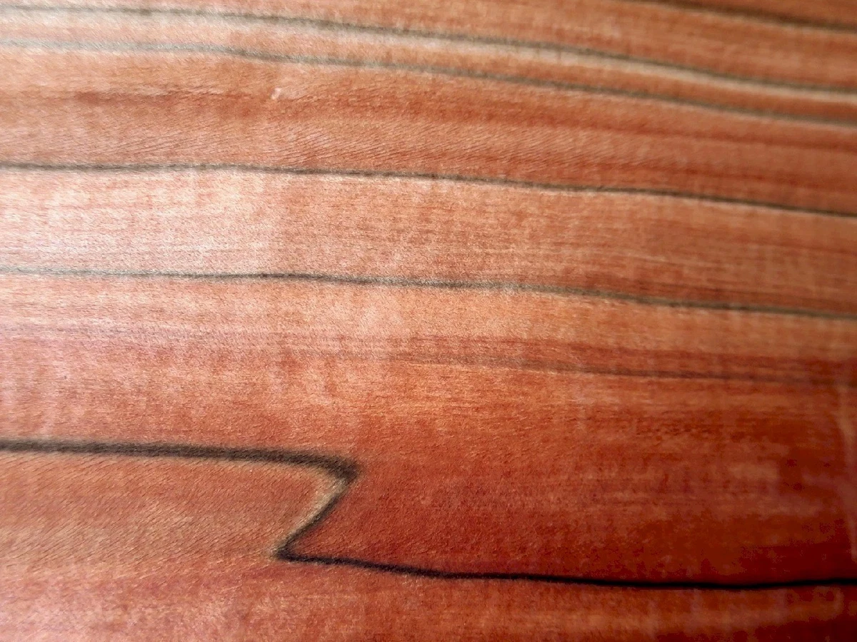 8 hojas TINEO manzano indio chapa chapa de madera construcción de muebles estante artesanía