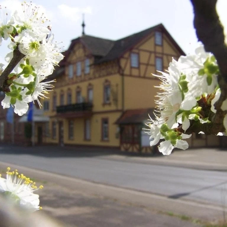 4 Tage Urlaub Hotel Gerber Hösbach Aschaffenburg Bayern Erholung Natur Reise - Bild 1 von 1