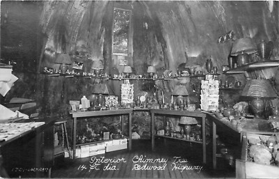 1950s Redwood Humboldt California Interior Chimney Tree Postcard RPPC 24-10123