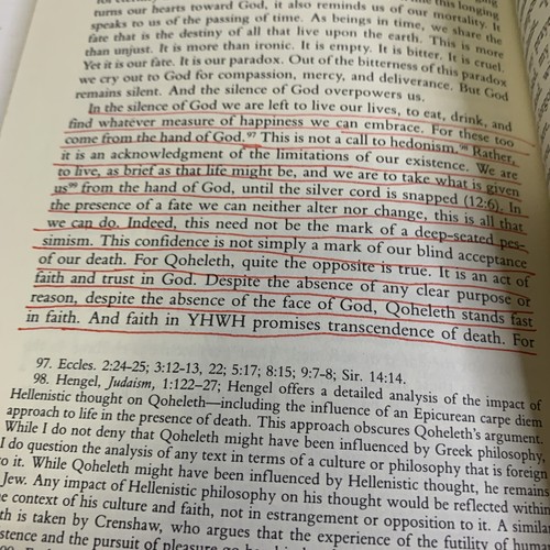 The Protest And The Silence Paperback Book Suffering, Death, and Biblical Theolo - Foto 6 di 7