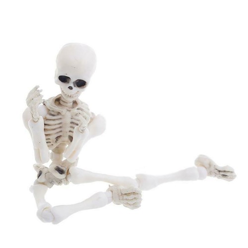 Skeleton decoration Movable Skeleton Human Model Skull Full Body Mini Figure Toy - Picture 4 of 7