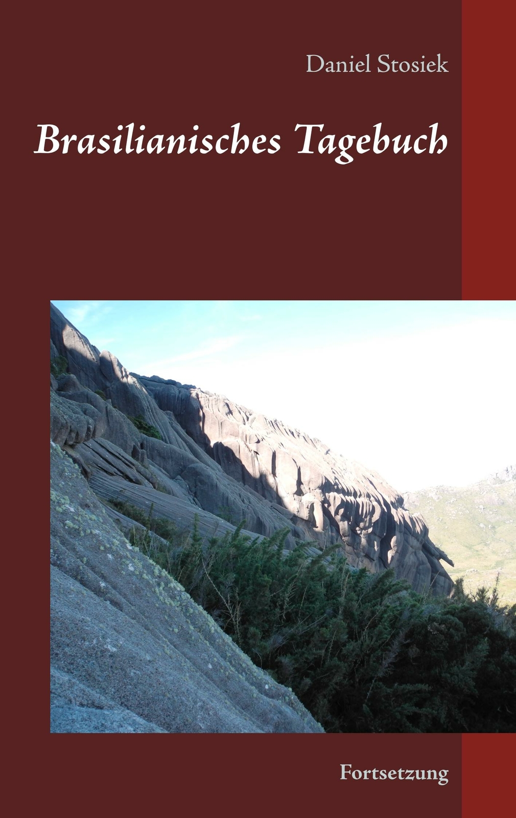 Thumbnail - Brasilianisches Tagebuch | Buch | 9783750494022