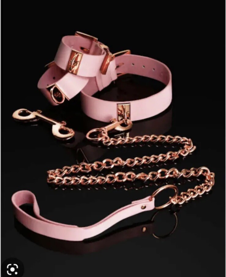 New Honey Birdette Matte Blush Pink Collar & Cuffs Bondage  display picture 1