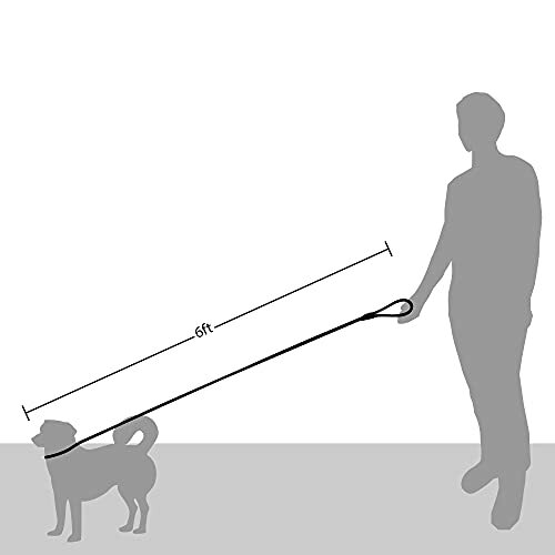 friends forever leash