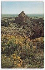 Vintage Vampire Peak Badlands NP South Dakota Postcard Rabbit Brush Flowers
