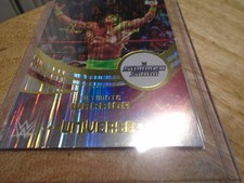 Ultimate Warrior Topps Universe Summer Slam Parallel 2025 #298 WWE