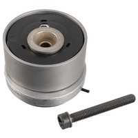 Blue Print Spannrolle, Zahnriemen U.A. FüR Alfa Romeo, Chevrolet, Fiat