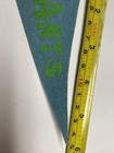 Vintage NY New York Giants Football NFL MINI Pennant 2.5x5.5 — photo 4