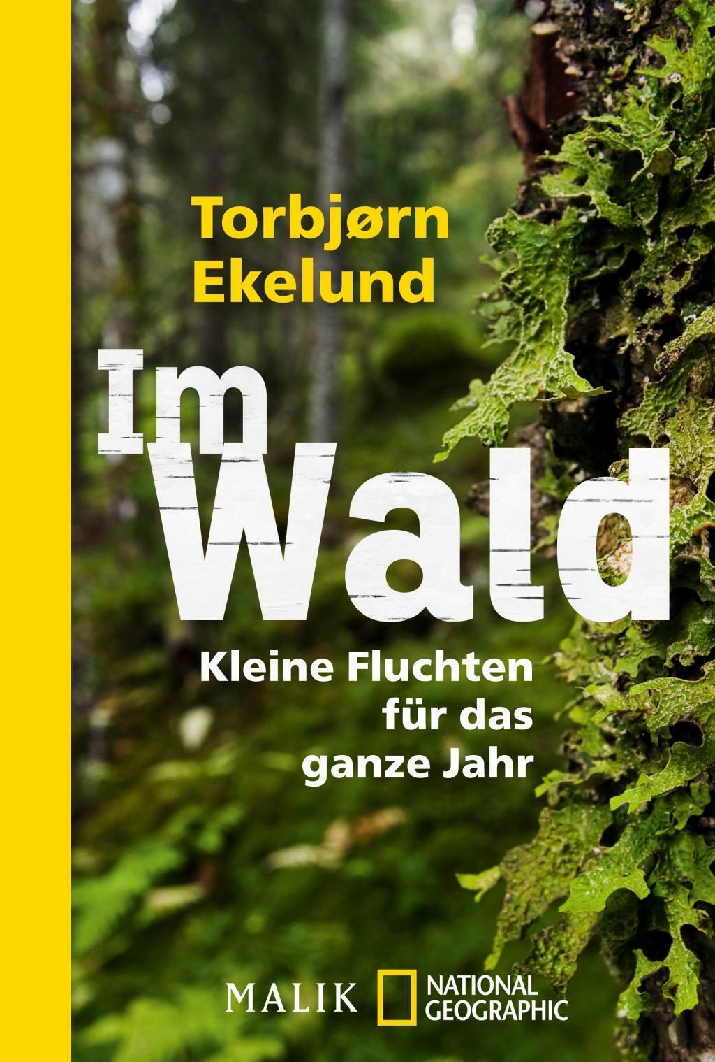 Thumbnail - Wald | Buch | 9783492404839