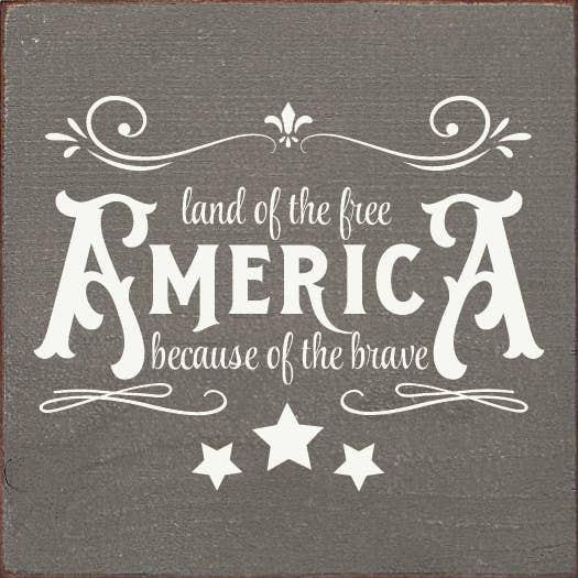 Америка - Страна Свободных Из-За Храбрых Красных