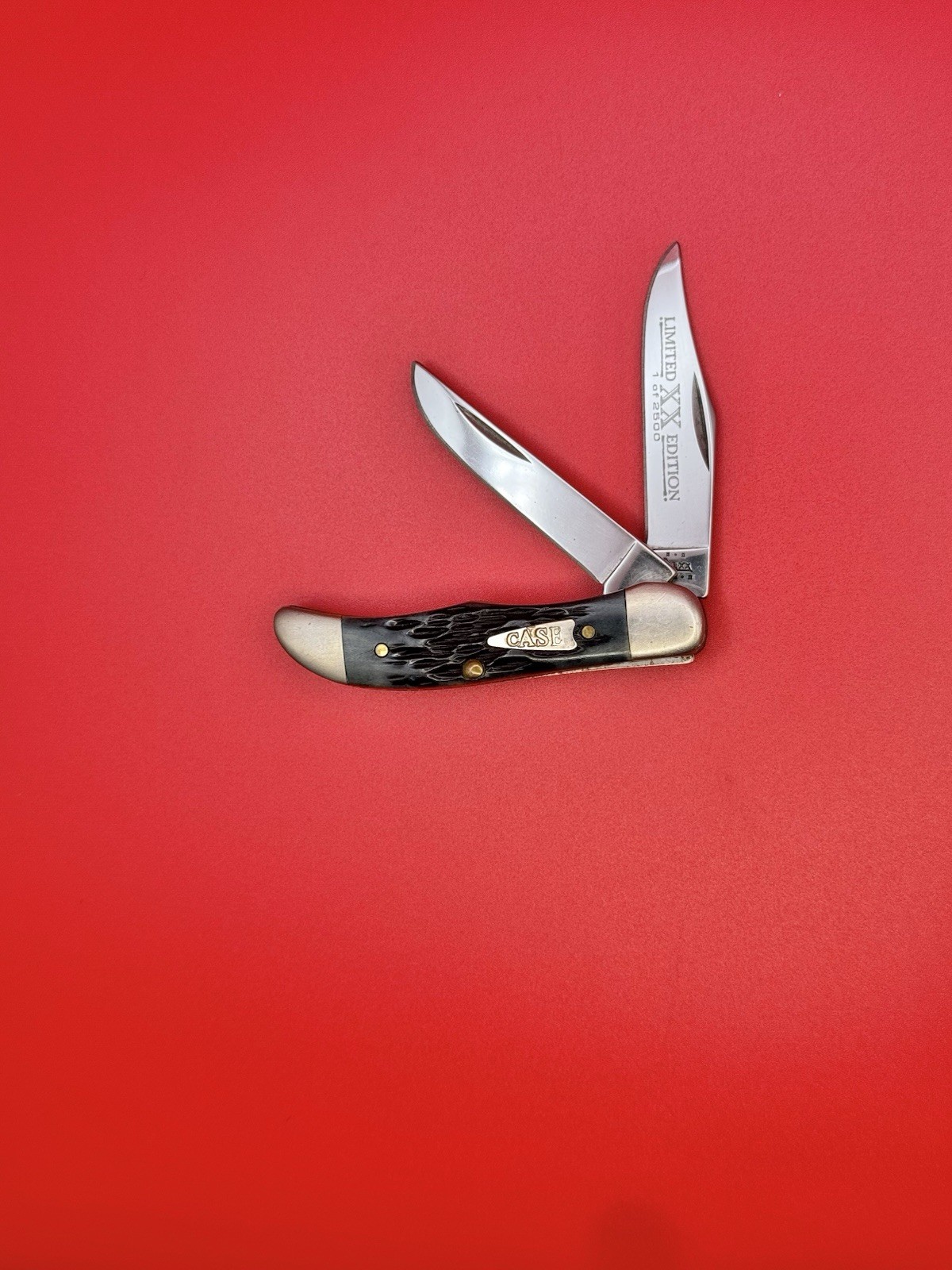 Rare New Case XX TH62165 SS LTD OF 2500 Pocket Hunter Knife Dark Gray Black Bone